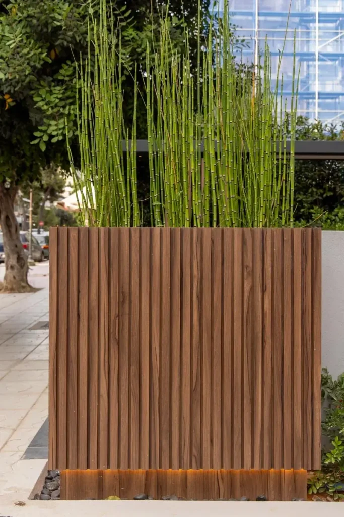 Outdoor-Rhythm-4